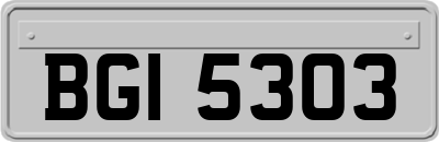 BGI5303