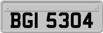 BGI5304