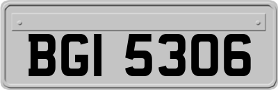 BGI5306
