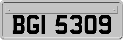 BGI5309