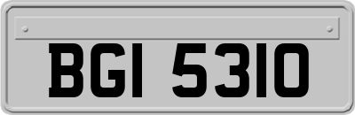 BGI5310
