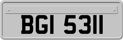 BGI5311