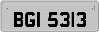 BGI5313