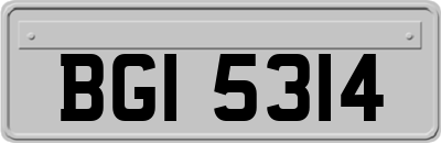 BGI5314