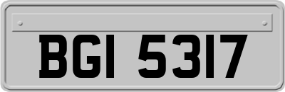 BGI5317