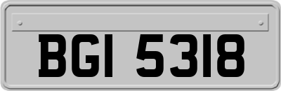 BGI5318