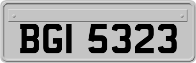 BGI5323