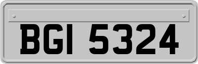BGI5324