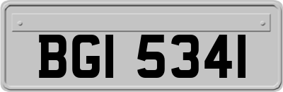 BGI5341