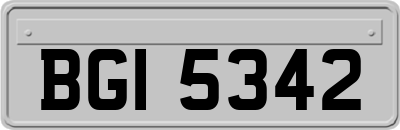 BGI5342