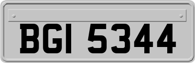 BGI5344