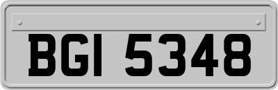 BGI5348