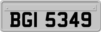 BGI5349