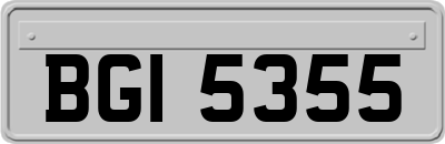 BGI5355