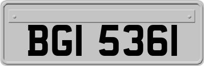 BGI5361