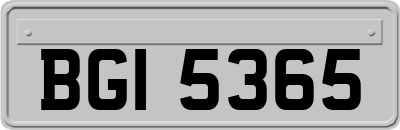 BGI5365
