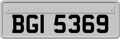 BGI5369