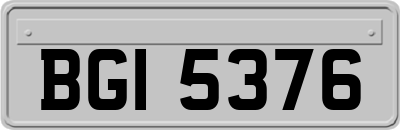 BGI5376