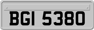 BGI5380