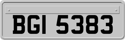 BGI5383