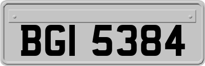 BGI5384