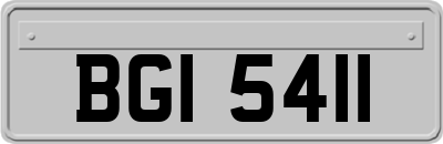 BGI5411