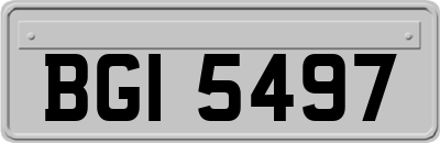 BGI5497