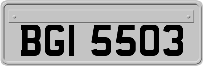BGI5503