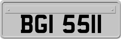 BGI5511