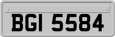 BGI5584