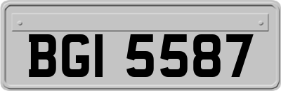 BGI5587