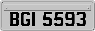 BGI5593