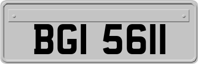 BGI5611