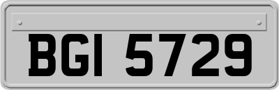 BGI5729
