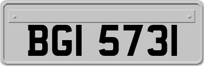 BGI5731
