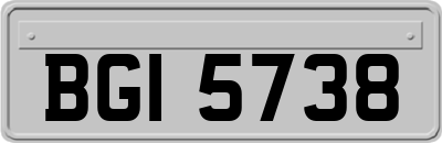 BGI5738