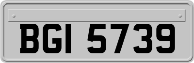 BGI5739