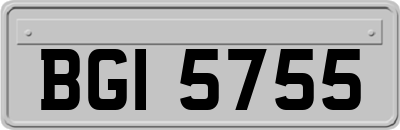 BGI5755