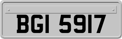 BGI5917