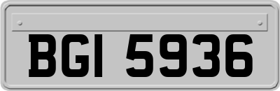 BGI5936