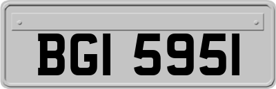 BGI5951