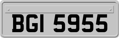 BGI5955