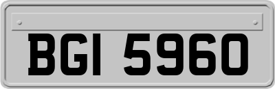 BGI5960