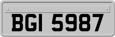 BGI5987