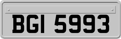 BGI5993