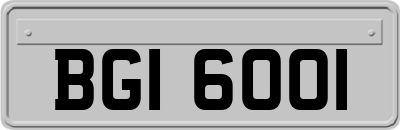 BGI6001