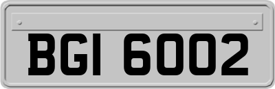 BGI6002