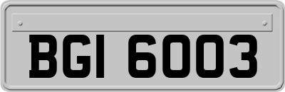 BGI6003