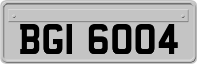 BGI6004