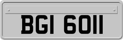 BGI6011